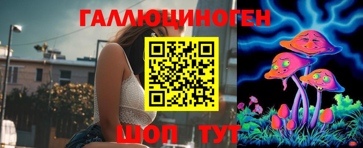 Псилоцибиновые грибы Psilocybe  Вышний Волочёк  Галлюциногенные грибы GOLDEN TEACHER 